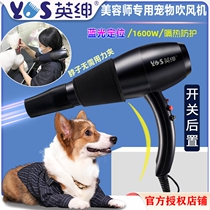 Yingshen pet dog cat bath hair dryer beautician hair blowing water blow dry hanging neck blue light mute