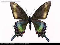 Для принцессы, зеленый, 7см