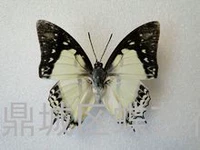 Зеленый, 8см