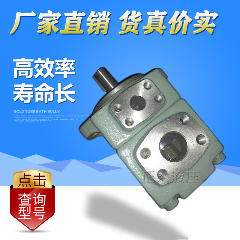 Oil-grinding vane pump PV2R3 single-linked hydraulic pump PV2R1 injection molding machine oil pump PV2R2 PV2R4