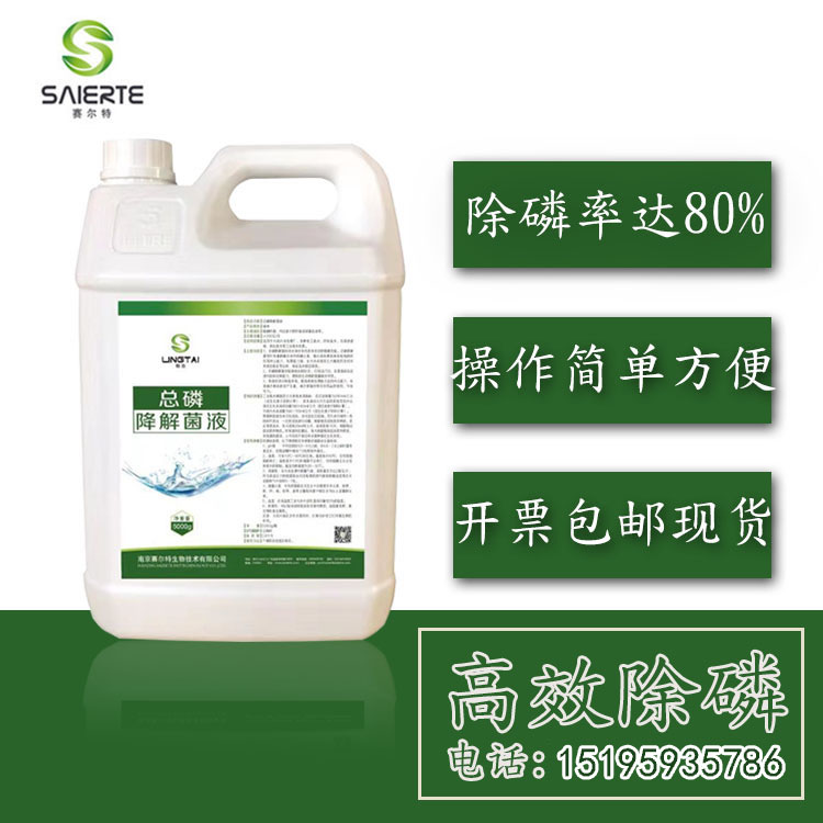 总磷降解菌剂快速降总磷总氨除磷菌剂液体工业污水处理除磷剂厂家