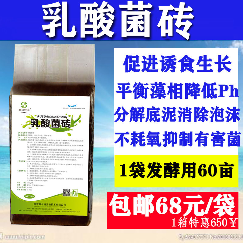 乳酸菌砖鱼塘 虾蟹塘调水净水肠道可用60亩菌种 水产养殖专用菌种