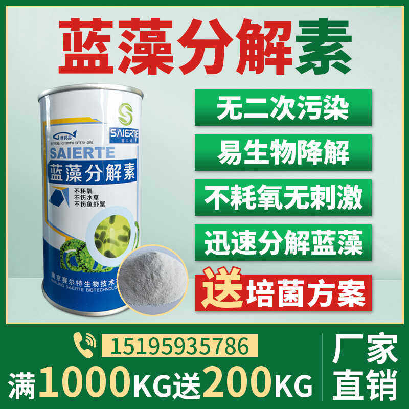 河道湖泊蓝藻分解素景观水体藻类清除剂灭青苔克星蓝藻杀手除绿水