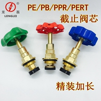 PPR new pure copper spool DN20 25 32 boutique brass spool PE globe valve core hardcover extension