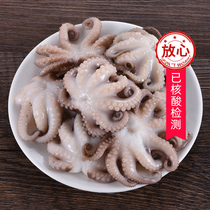 Octopus big headshot 200g octopus seafood aquatic products fresh frozen Kanto boiled barbecue hot pot ingredients