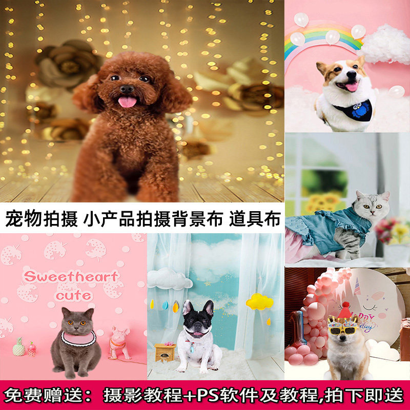 New Photography Background Cat Dog Small Pets Photo Props Background Paper Small Toy Products Professional Shooting Background Cloth