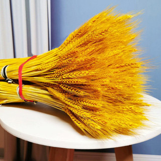 Natural golden wheat ears dried flowers open living room pastoral