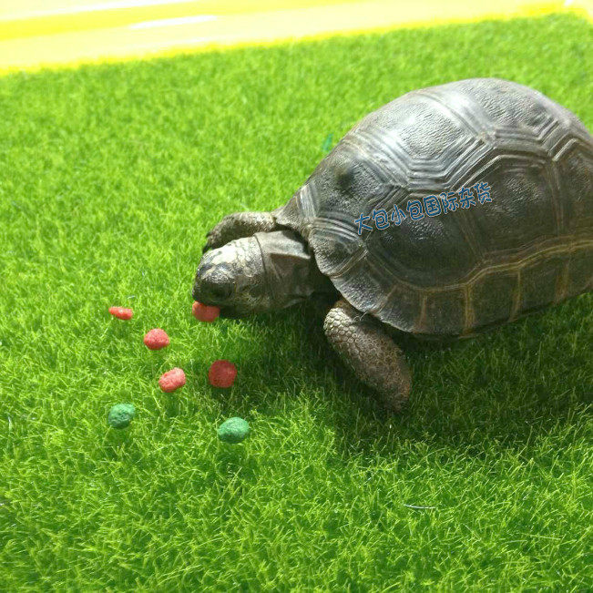 Reptile Rainforest Lizard chameleon chameleon turtle box cushion material woven suede rug moisturizing lawn 30X30cm