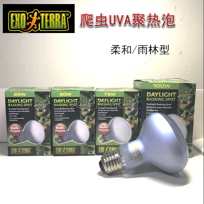 Canadian brand Hijin Hijin UVA Daily heating Rainforest land tortoise mane lion lizard warm and warm daylight lamp