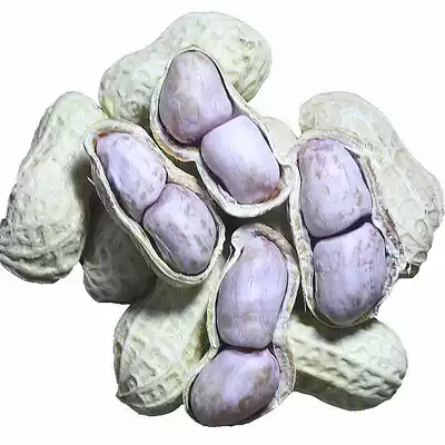 Farmhouse boiled peanut salty dry white sun peanut snack 205g1500g