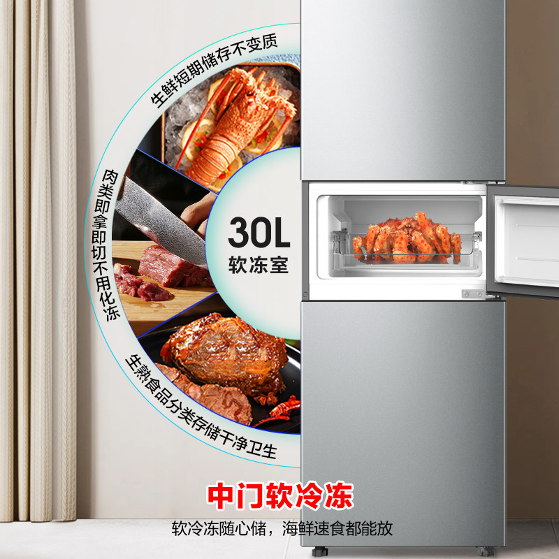 容声BCD-215E10RNLAD冰箱图片