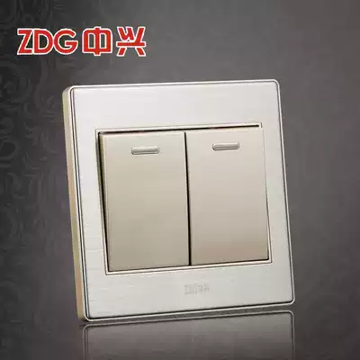 ZDG ZTE switch socket metal brushed B8 series two-position large rocker double cut