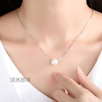 S925 Pure Silver Necklace Fashion Single Freshwater Pearl Pendant 100 Lapped Temperamental Woman LOCK BONE CHAIN NOT FADING