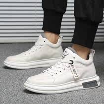 Fan Kelong Qin Han New City Jinzhou (spring tide) new high leisure trendy shoes in the small white shoes Joker