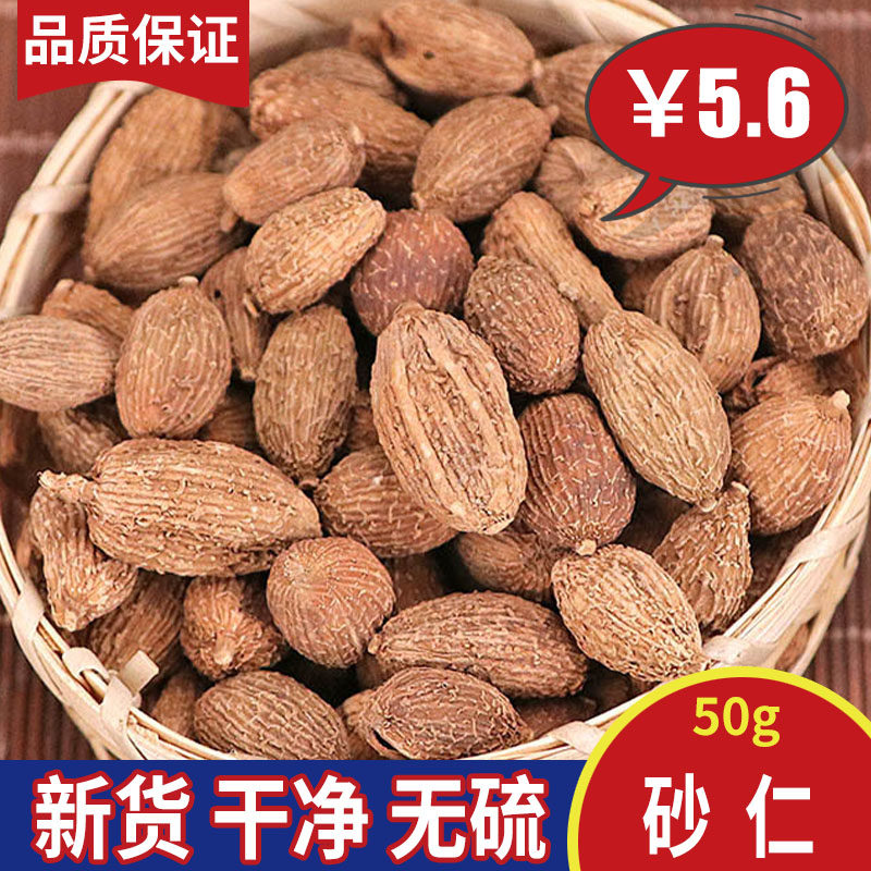 Sand kernel 50g Keyang Spring Sand Kernel Guangdong Sand Kernel Spring Sand Kernel