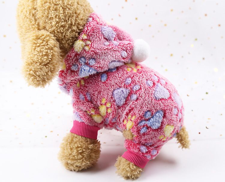 Quần áo chó đỏ quần áo mùa thu và mùa đông chó nhỏ Teddy nữ hơn gấu trúc chó con chó con bốn chân quần áo thú cưng - Quần áo & phụ kiện thú cưng quần áo cho mèo