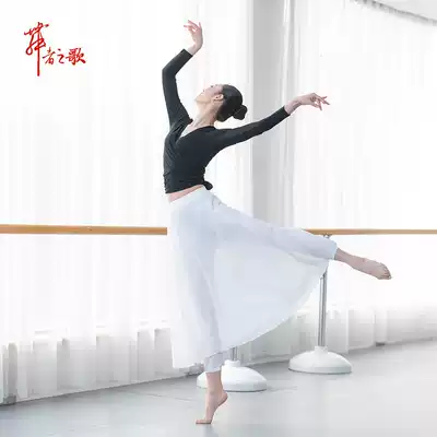 Modern dance practice pants one pants skirt classical Latin dance dress yoga dance training training chiffon dress
