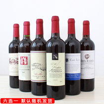 High-grade grape wine bottle decoration simulation fake wine model room decoration Hotel bar KTV wine bottle decoration