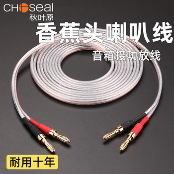 Akihabara Speaker Cable Audio Cable Banana Main and Auxiliary Speaker Cable Audio Connection Cable Professional Surround Speaker Cable