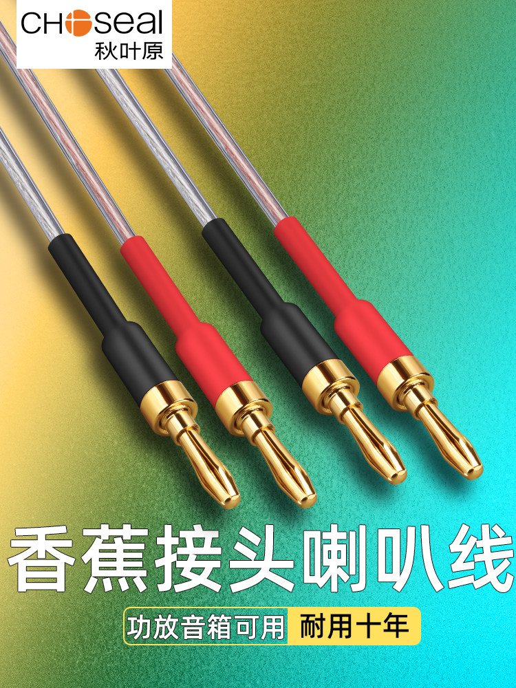 Akihabara Speaker Cable Audio Cable Banana Main and Auxiliary Speaker Cable Audio Connection Cable Professional Surround Speaker Cable