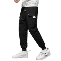 Mulinsen down pants mens autumn and winter plus velvet thickened outer wear to prevent cold wind and warmth mens casual long pants