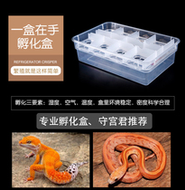 Reptile hatching box Palace guard hatching box maned lion corn pet climbing pet hatching egg grid egg separator vermiculite separation