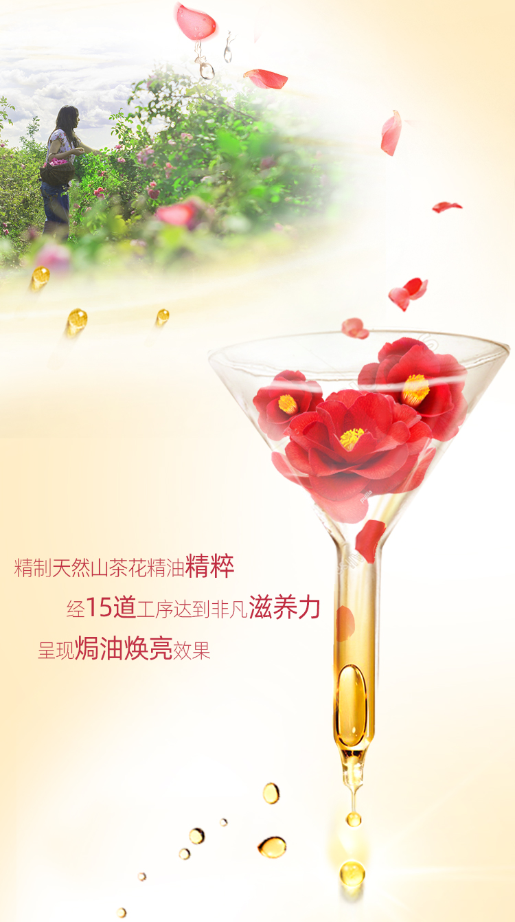 舒蕾 山茶花精粹洗发水 600ml*2瓶 送沐浴露100ml*1瓶 图9