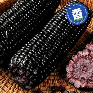 4.16！开源保丰黑糯甜玉米220g*3棒