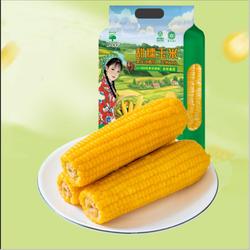 辰旭稼禾！东北黄糯玉米220g*10支