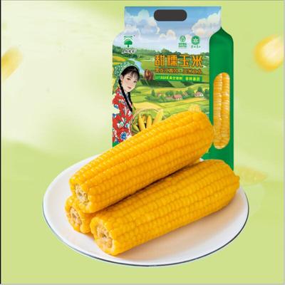 辰旭稼禾东北黄糯玉米