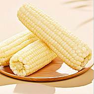 绿色食品！东北白糯玉米300g*12支