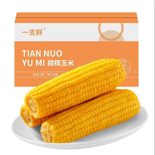 东北黄糯甜糯玉米250g*10棒