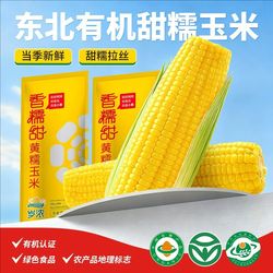 东北有机黄糯甜玉米260g*3棒