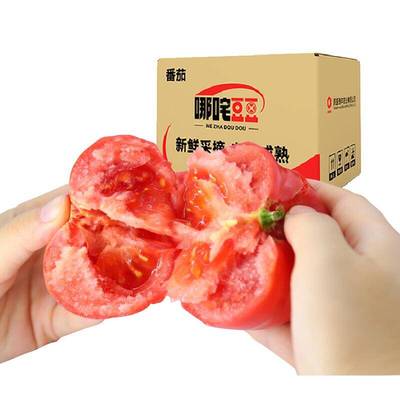 哪咤豆豆老味道生吃柿子4.5斤