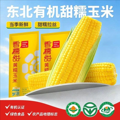 东北有机黄糯甜玉米260g*5棒