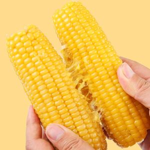 香甜软糯东北黄糯玉米220g*8根