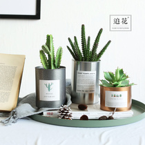 (Iron Jars Flower) ins Nordic Wind Metal Planting Pot Cactus Multimeat Vase Flower Pots