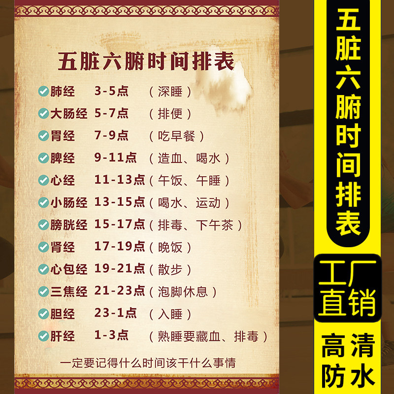 Five-dirty Six-Visceral Time Platoon Chart of Chinese Medicine Health Preservation Hanging Painting Meridians Health Promotion Publicity Stickler for Nourishing Propaganda