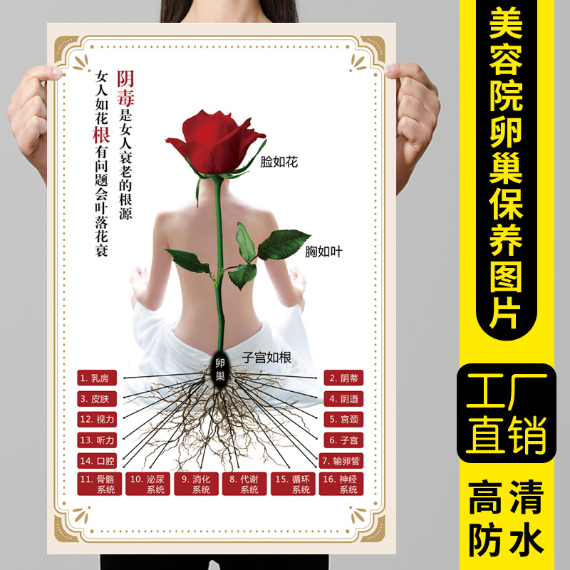 Women's ovary maintenance propaganda picture advertising wall chart beauty salon private care hip treatment propaganda poster poster stickers
