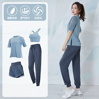 Синий [короткий рукав] Четырехпа