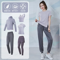 五 五 [короткий рукав] пять -цепные набор TC18392