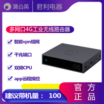 Dandelion Router G5 Gigabit Management Routing Off-site VPN Networking Bypass Box Shared Printing Cloud Disk NAS