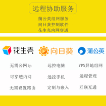 Dandelion networking Peanut shell Sunflower software boot stick setting Remote assistance PLC Download service Fast