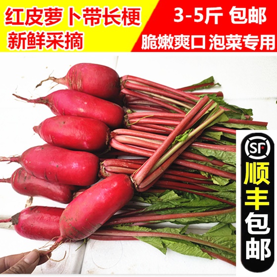 Farmhouse fresh carrots with stems, red-skinned and white-hearted radishes with long stems, pickles, water radish vegetables 10 catties