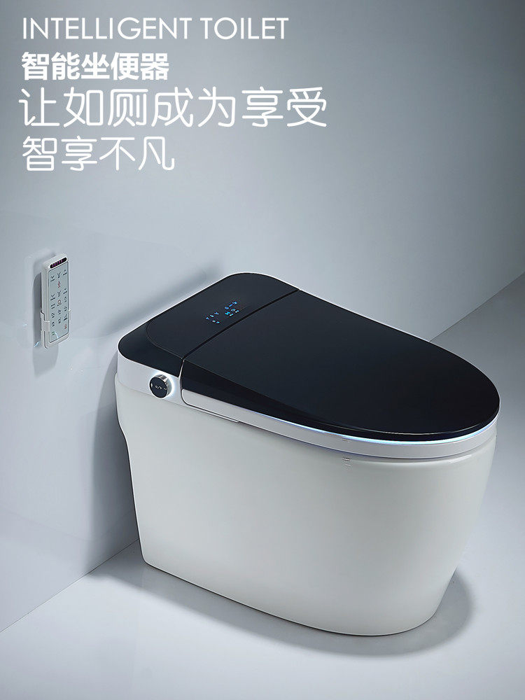 Mona Lisa smart toilet One-piece automatic multi-function drying instant hot toilet household powder room