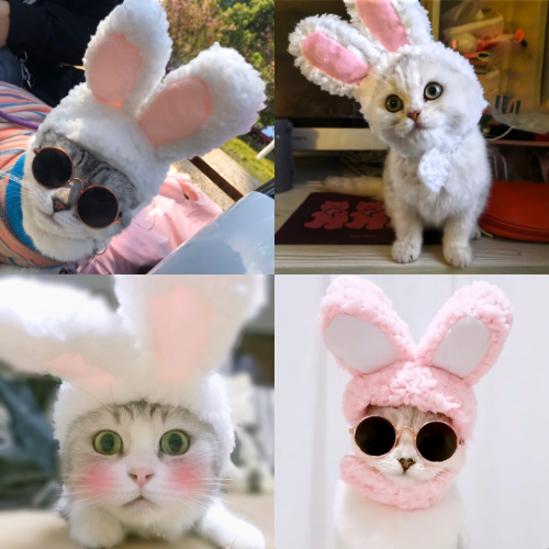 Cat Hairpin Hairpin Christmas Birthday Cute Hat Pet Hair Accessories Small Pooch Head Accessories Cat Head Cover Shake Rabbit Ears Hat