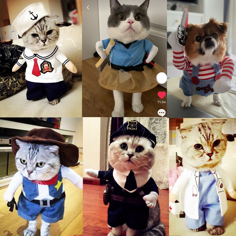 Tiktok-Style Puji Taimao Cat Clothes, Spring and Summer Stand-Up Style, Funny and Quirky Outfit, Thin Spring Clothes for Dogs