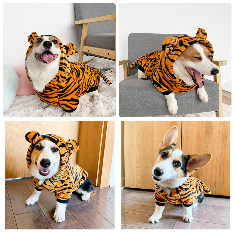 Transform into dog clothes, autumn and winter clothes, cats, funny, casual, small and medium dogs, teddy corgi, bear pet clothes