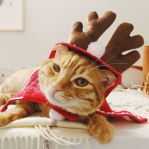 Шапка, шлем, милый аксессуар для волос, рождественский плащ, комплект, наряжаться