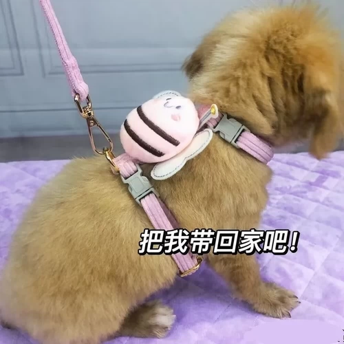 Собачья тяга шрифт шрифт